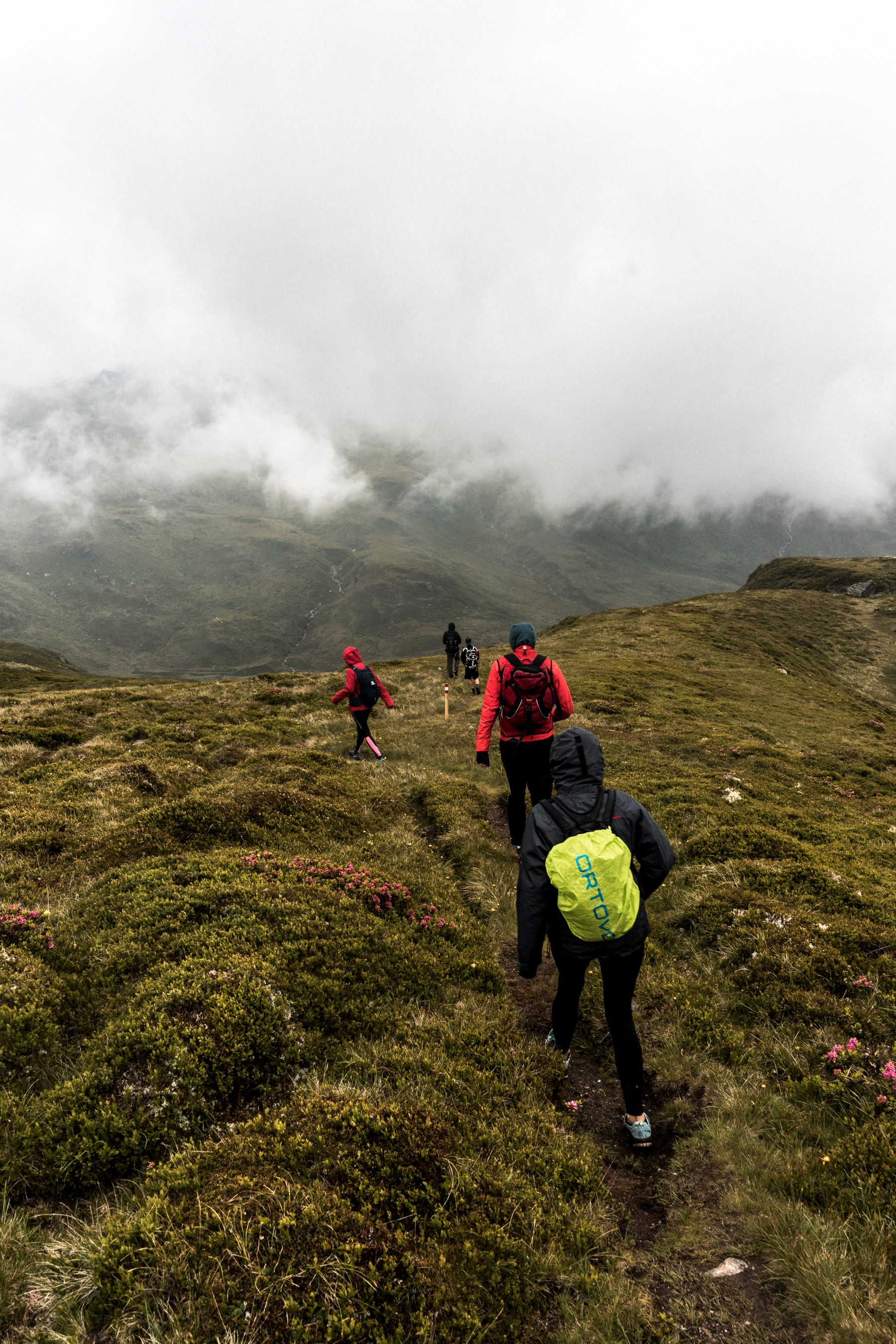 Eine kleine Wandergruppe bewegt sich bei wechselnder Sicht durch Tiroler Berggelände